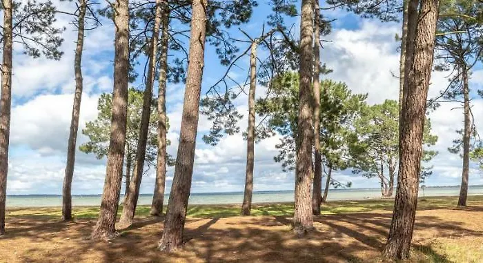 4 Couchages Dans Avec Piscine Entre Golf Et De * Biscarrosse